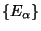 $\{E_{\alpha}\}$