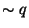$\sim q $